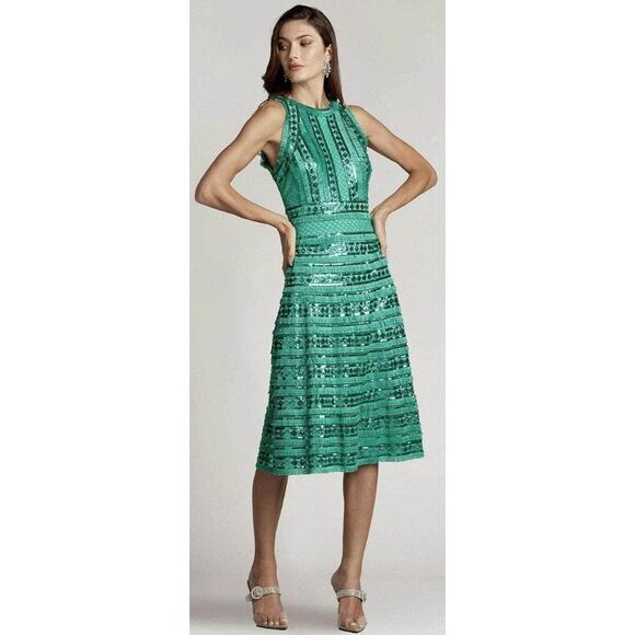 Tadashi Shoji Norma Sequin Fringe Fit & Flare Midi Dress Jasmine Green Womens 10 - Picture 1 of 7